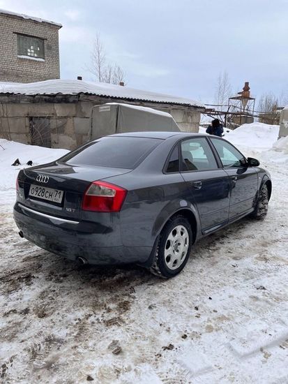 Листва (молдинги) на двери для Audi A4 B6