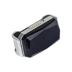 GPS G12P (кошка)