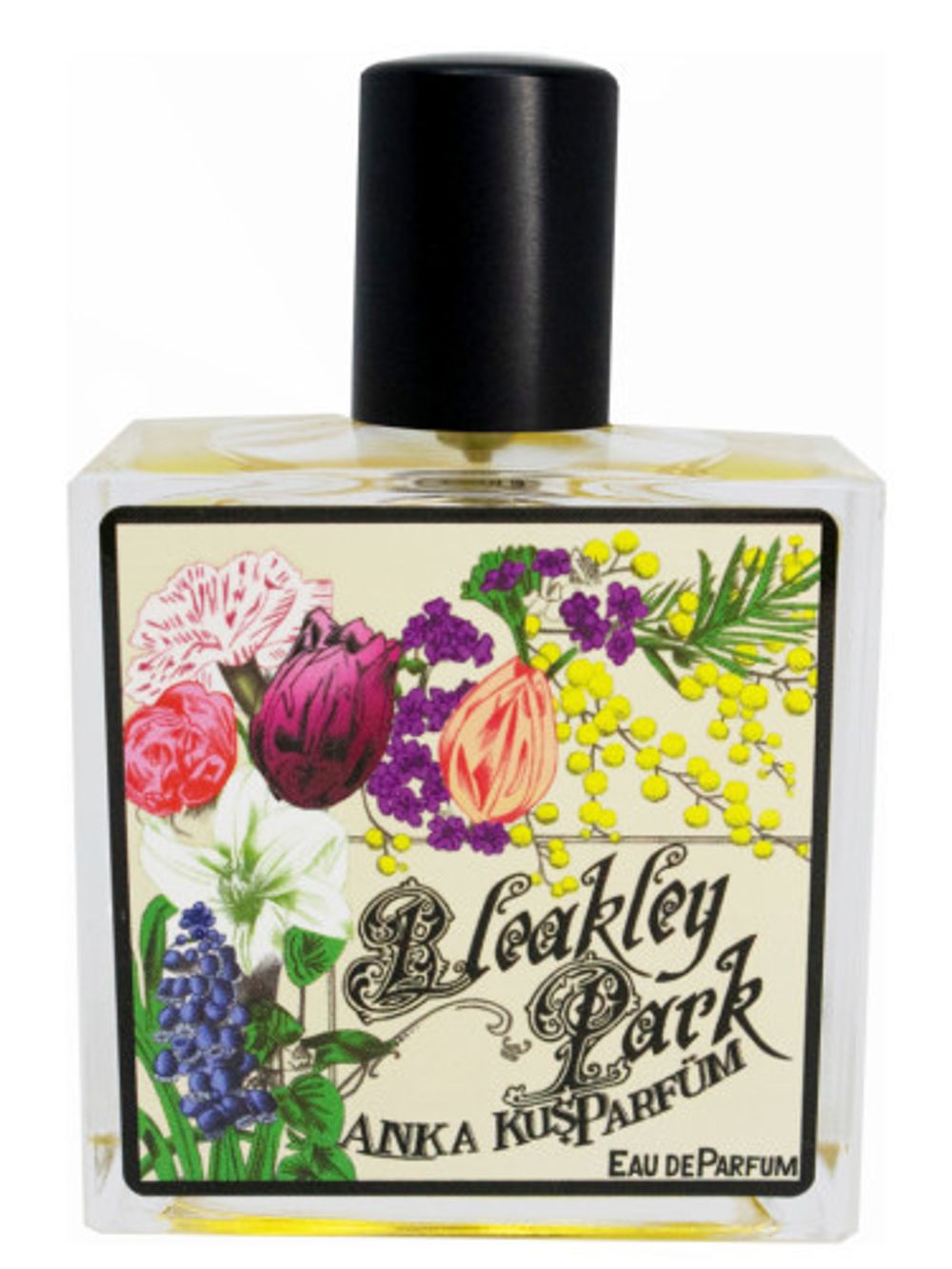 Anka Kus Parfum Bleakley Park