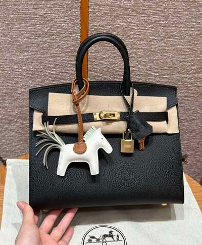 Hermes Birkin 25