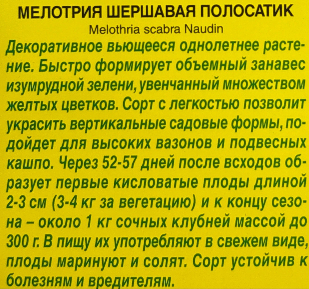 Мелотрия (Мышиная дыня) Полосатик СМЦ-234