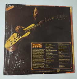 Винтажная виниловая пластинка LP Buddy Fite (USA 1969)