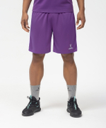 Шорты баскетбольные Camp Basic, фиолетовый