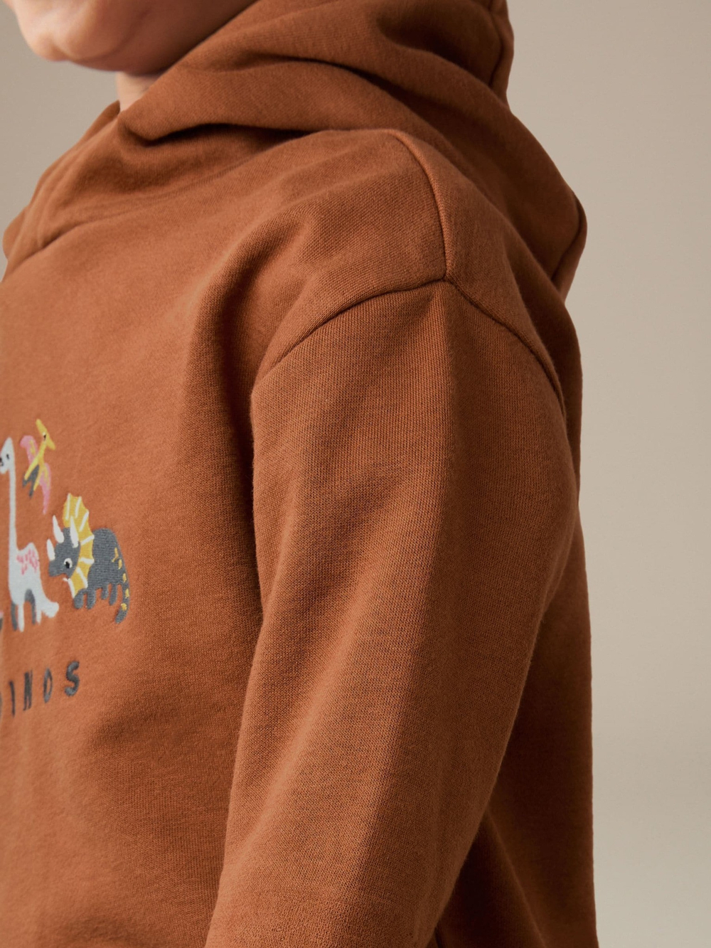 Толстовка с капюшоном для мальчика Next 608-786, Кирпичный