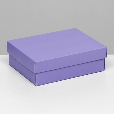 СЛ коробка 9569250 сиреневая, 16,5 х 12,5 х 5,2 см