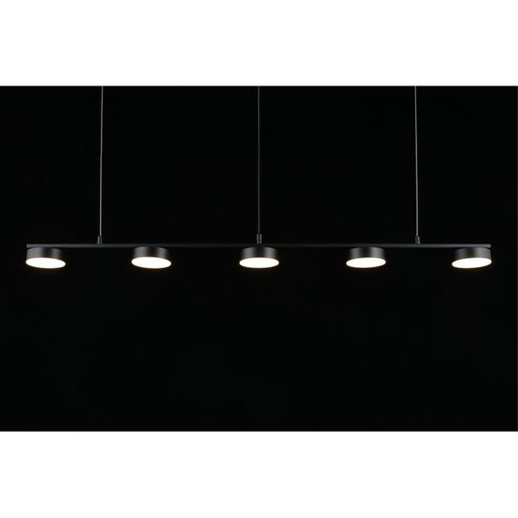 Подвесная светодиодная люстра Aployt Usia APL.047.03.35