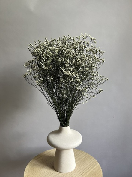 Лимониум стабилизированный белый