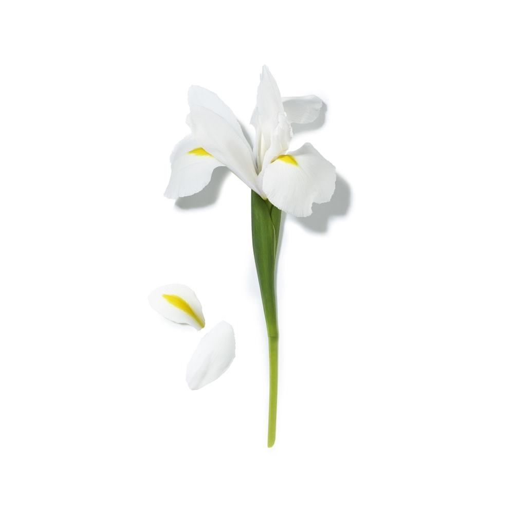 Lancome La Vie Est Belle x Atelier Paulin