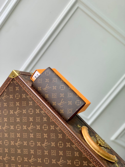 Louis Vuitton Emilie Wallet