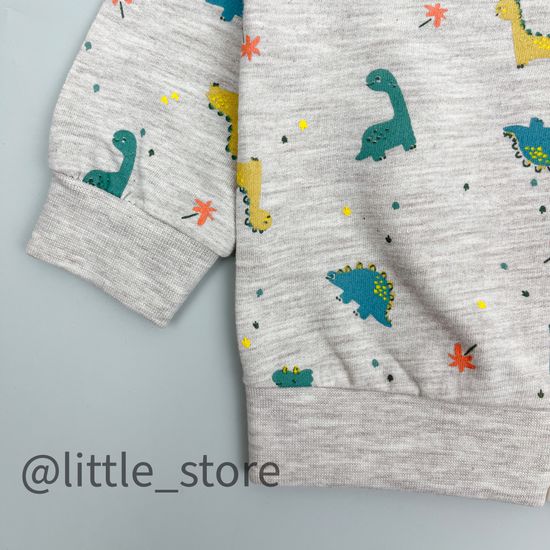 Комплект из футера "Roaring dinosour" с футболкой