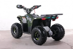Электроквадроцикл Green Camel Гоби K90 (48V 750W R7 Дифференциал) Tao LUX