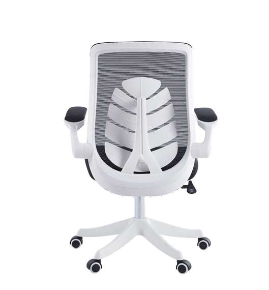 Офисное кресло Chairman CH565 белый пластик, черный