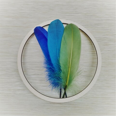 Основа для ловца снов 21 см.