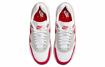 Кроссовки Nike Air Max 1 '86 "Big Bubble" (Женская размерная сетка)