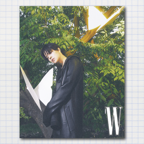 Постер #0172 / STRAY KIDS / Сынмин