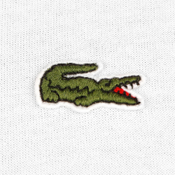 Мужское теннисное поло Lacoste Tennis T-Shirt Men - White, Green