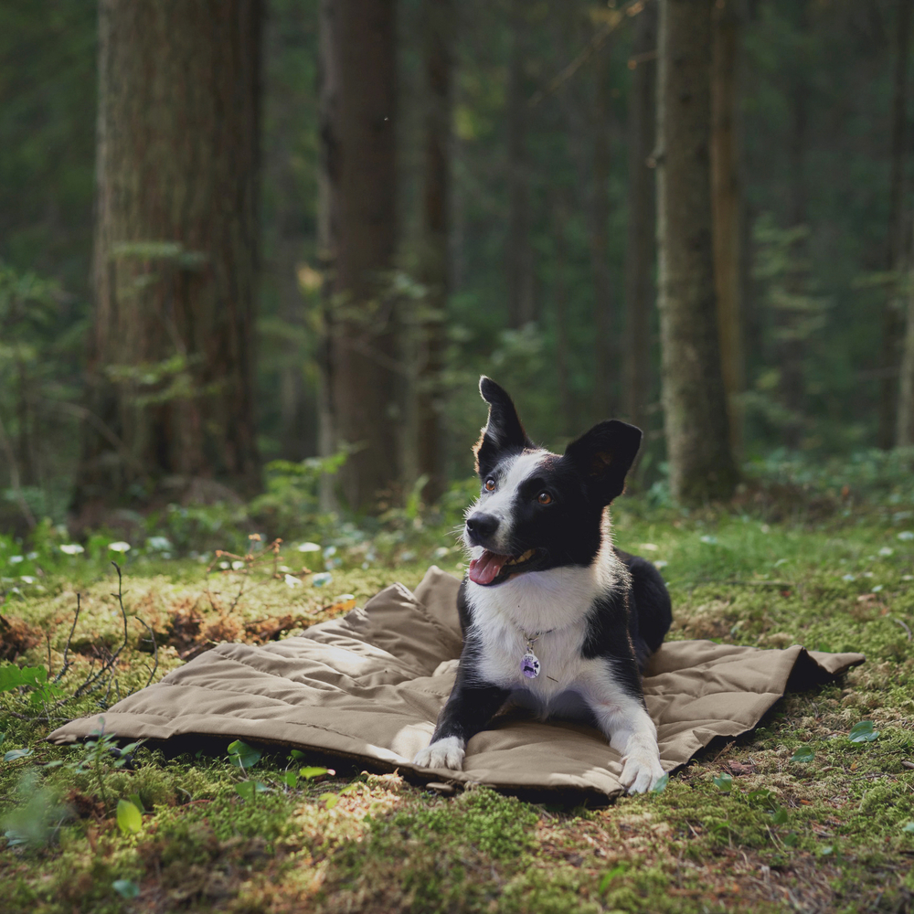 Складная подстилка DOGLEA TRAINING