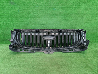 Решетка радиатора Geely Monjaro (2021-н.в.)