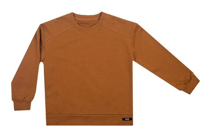 Свитшот для мальчика рыжий