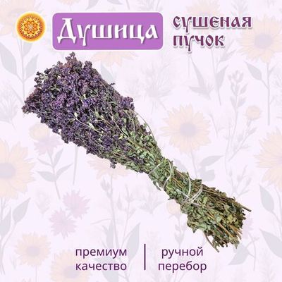 Душица (пучок)