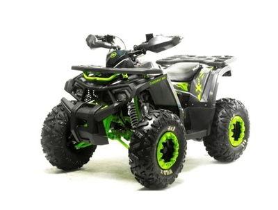 Квадроцикл MOTOLAND 125 Wild (2021 Г.)