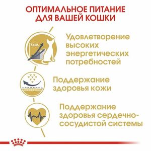 Сухой корм Royal Canin Sphynx Adult для взрослых кошек породы Сфинкс от 12 месяцев