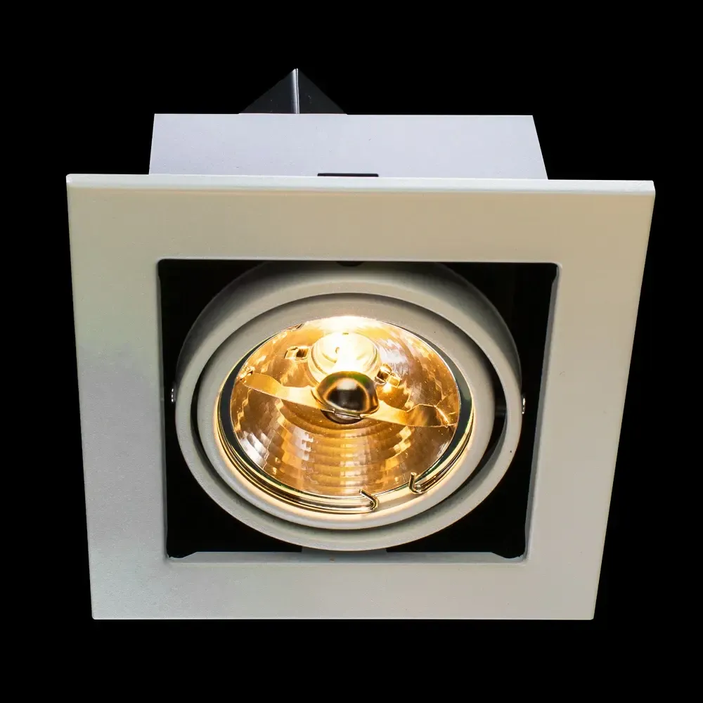 Карданный светильник Arte Lamp