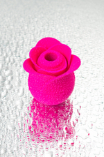 Вакуум-волновой стимулятор клитора Satisfyer Pro 2 Modern Blossom 6,6 см