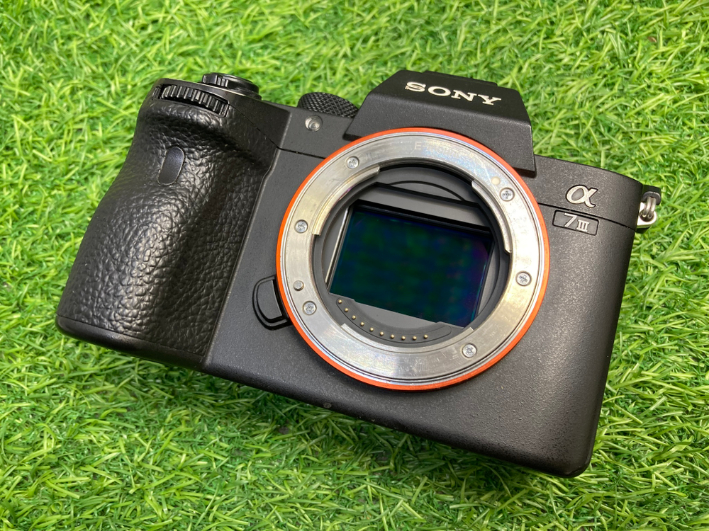Sony A7 III (19.600 кадров)