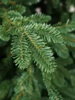 Искусственная ель «Монтерей» (Литая хвоя) 150 см / 1.5 м