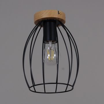 IL1011-1C-05 BK светильник потолочный