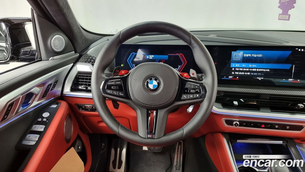 BMW XM (G09) 4.4 (05.2023)