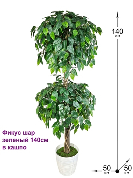 Фикус шар зеленый 140см в кашпо