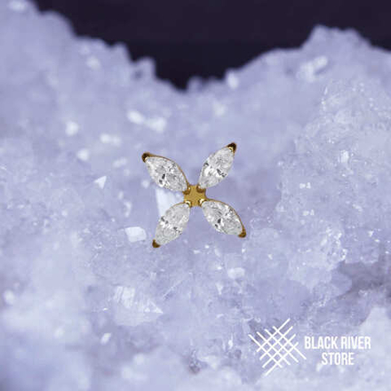 Oridis Crystal PVD Yellow-