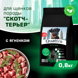Корм сухой для щенков породы Скотч-терьер, премиум полнорационный комплекс, с ягненком, 800 гр, QUATTRO