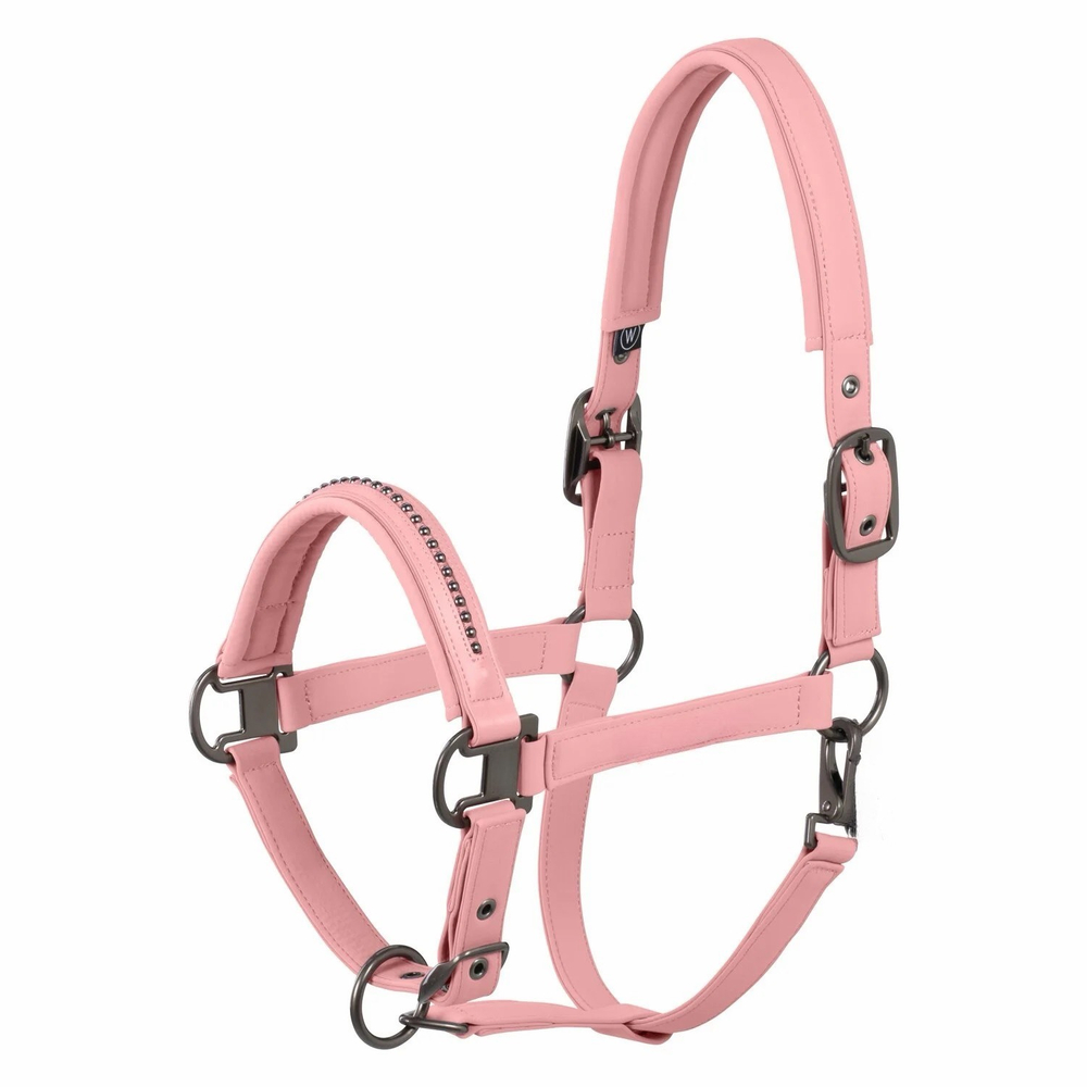 Недоуздок TGW riding