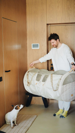 Перевозка для автомобиля Пони авто-доми Бежевый