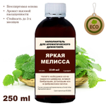 МЕЛИССА - Наполнитель для ароматического диффузора
