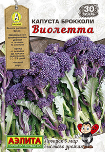 Капуста брокколи Виолетта