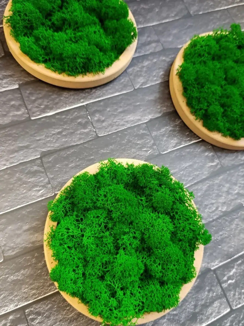 Панно из мха набор набор 3 шт.