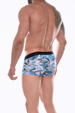 Трусы-боксеры с принтом в виде китов (Размер: XL) (Цвет: голубой)