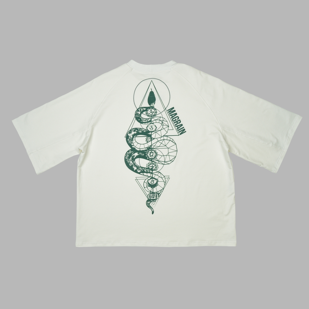 Футболка Реглан SNAKE
