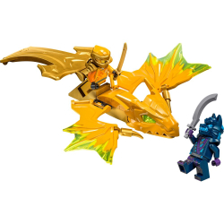 LEGO Ninjago - Атака восходящего дракона Арин 71803 / артикул   71803  / GTIN 5702017565538