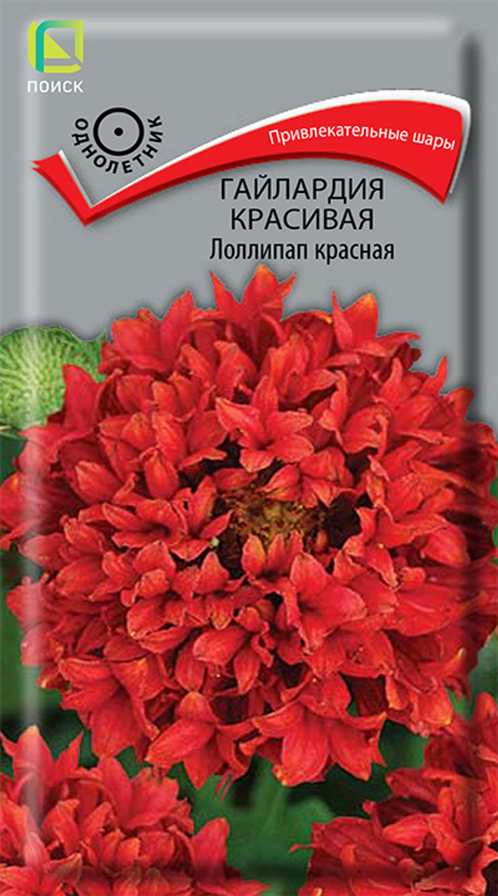 Гайлардия красивая Лоллипап Красная