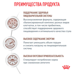 Мелкие кусочки в соусе, 85г Gastrointestinal Moderate Calorie при нарушениях пищеварения Royal Canin