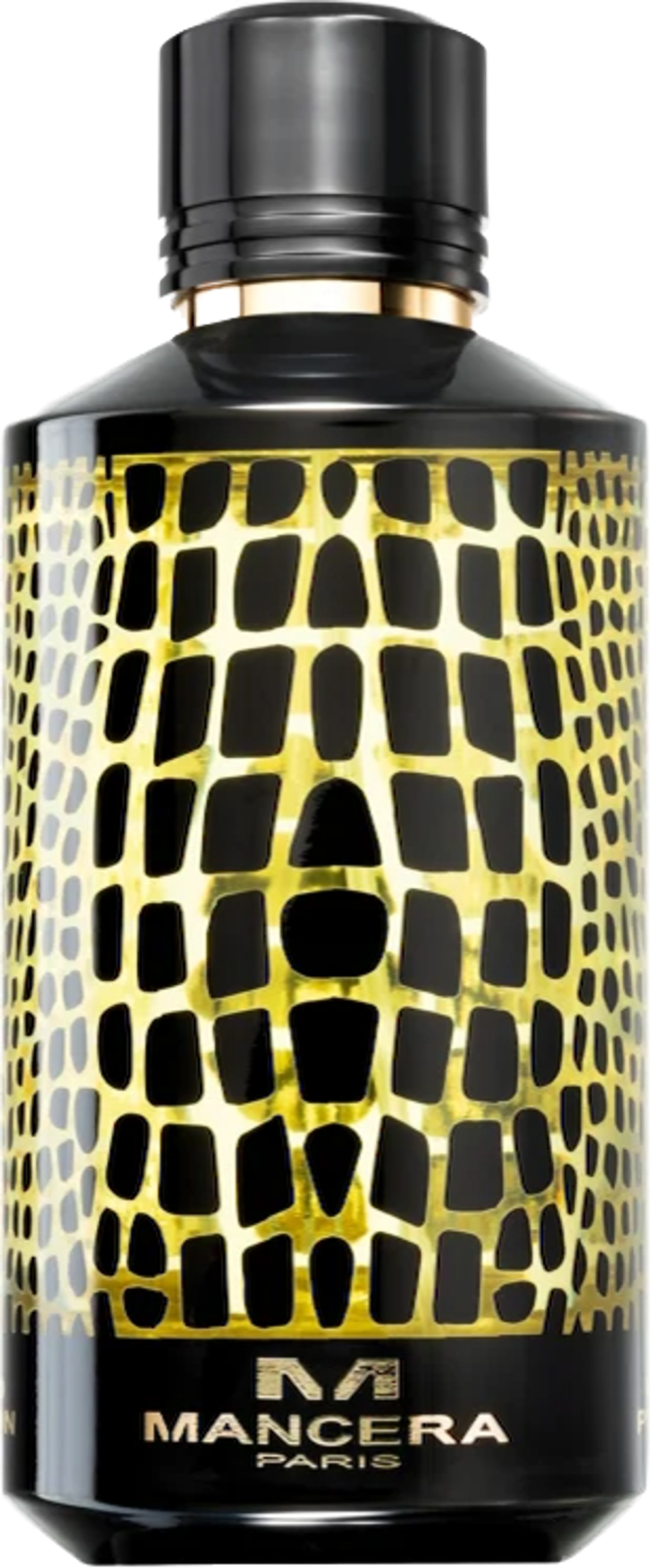 Mancera Wild Python EDP