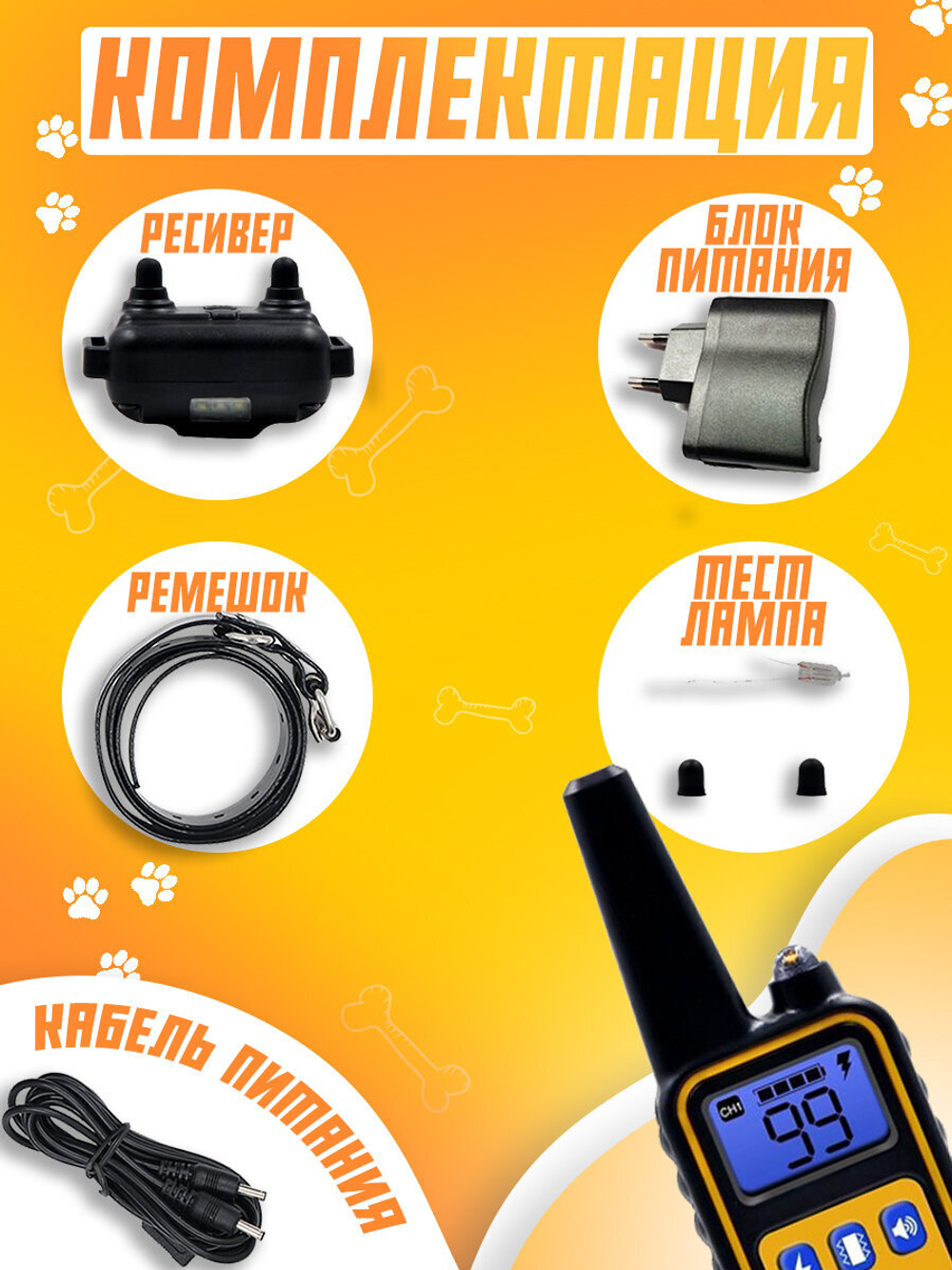 Электронный ошейник для дрессировки собак