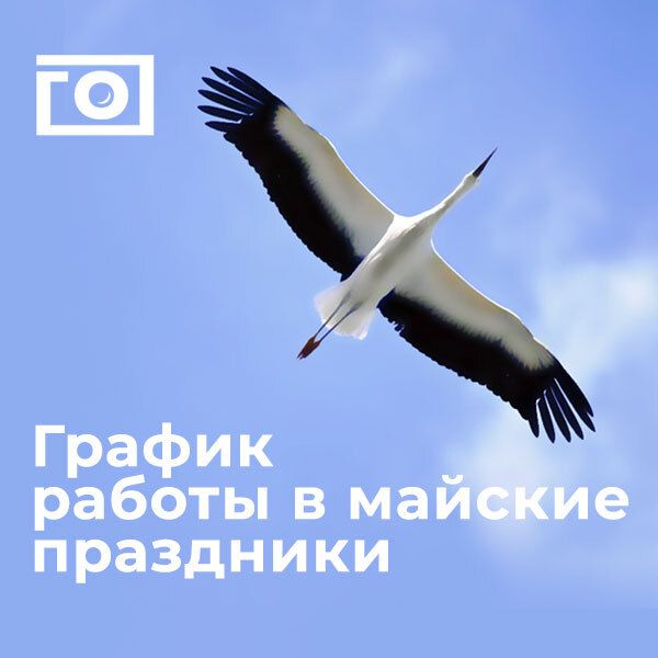 График работы магазина с 1 по 11 мая 2025