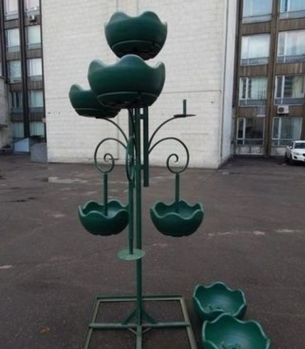 Цветочница Улитка двойная парковая