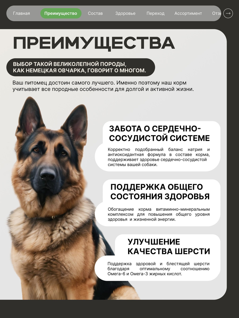Корм сухой для взрослых собак породы Немецкая овчарка, с ягненком, 2.5 кг, QUATTRO